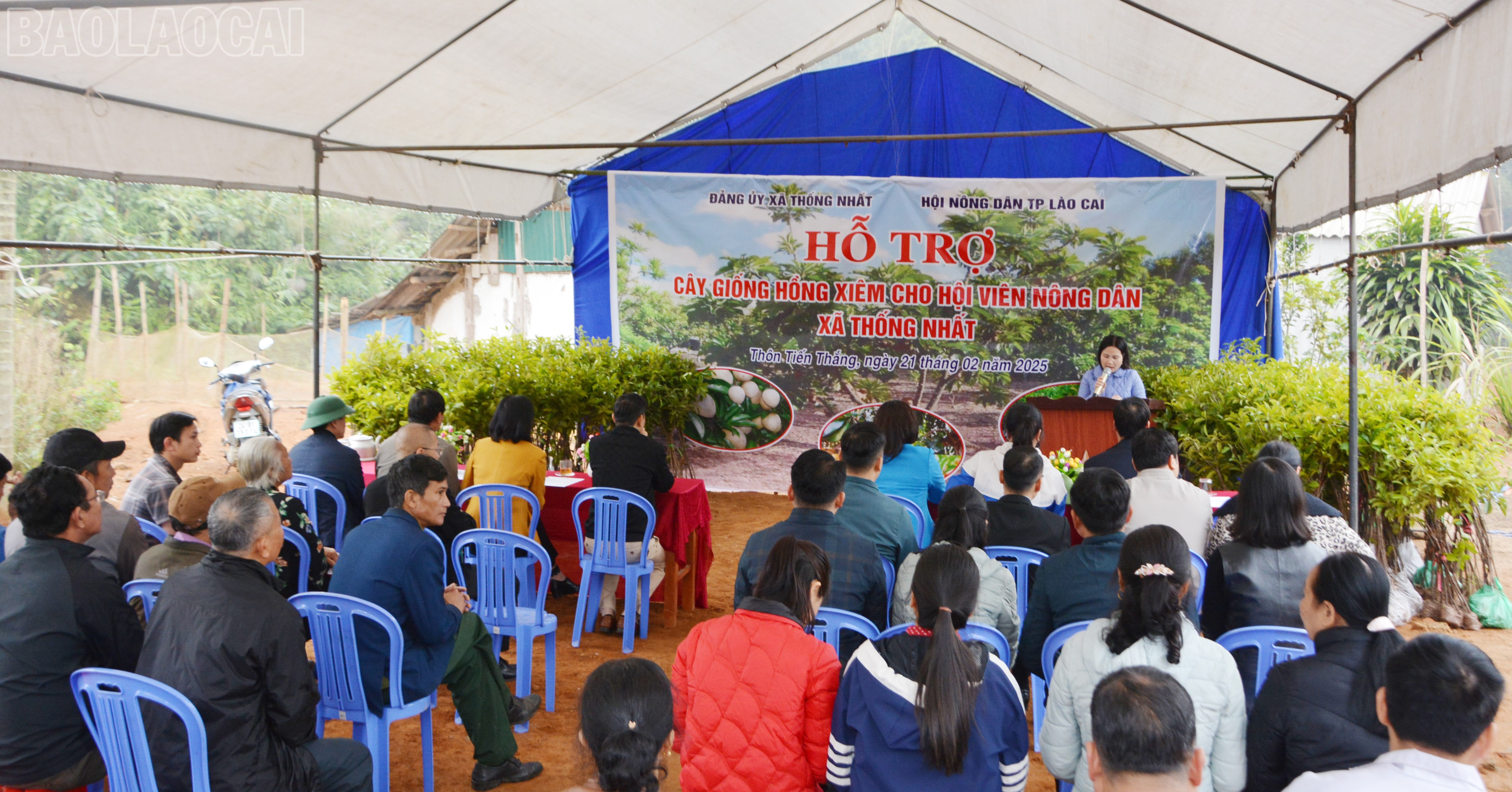 Quang cảnh chương trình. baolaocai-tl_dsc-5327.jpg