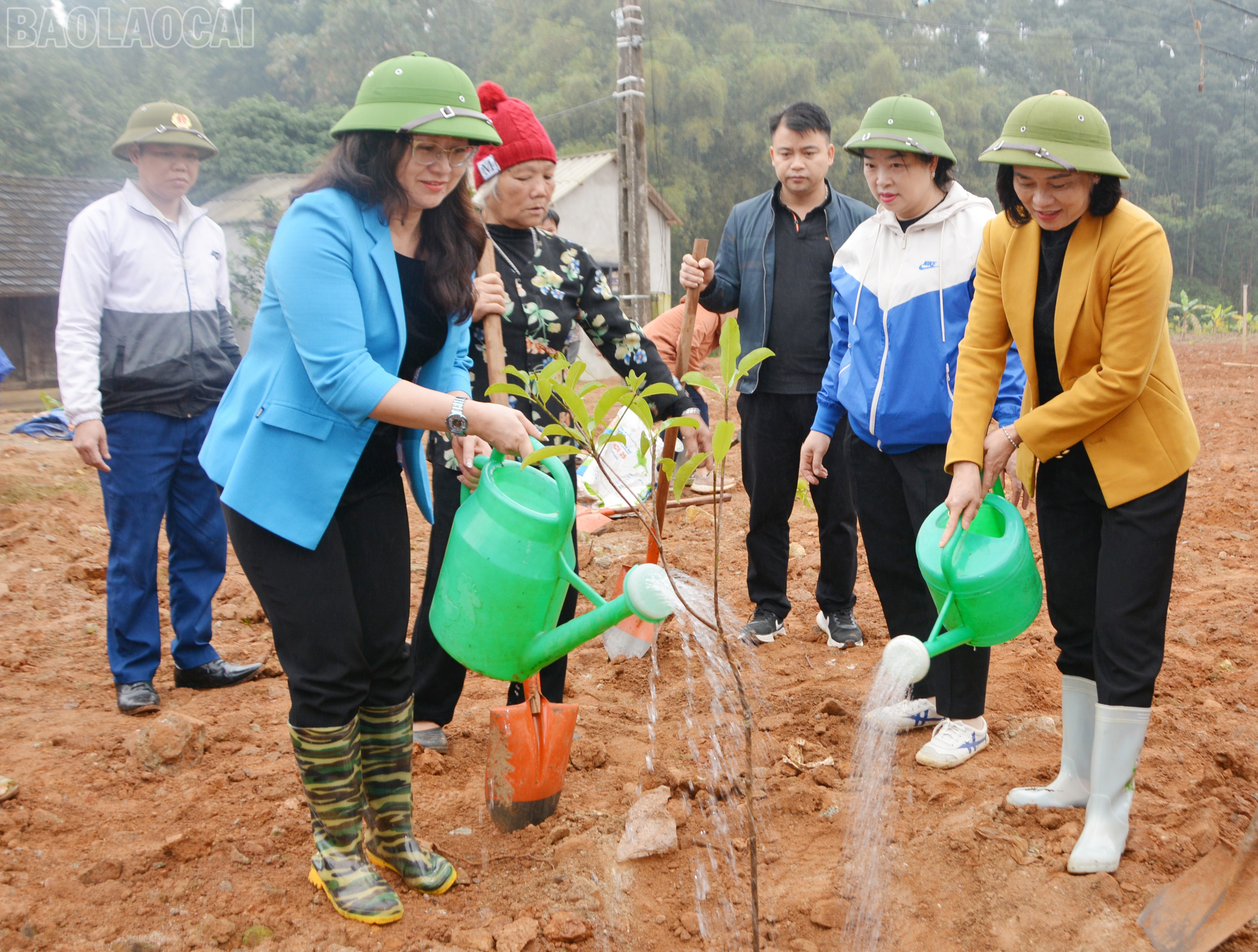 Đồng chí Giàng Thị Dung tham gia trồng cây giống hồng xiêm cùng người dân địa phương. baolaocai-tl_dsc-5372.jpg