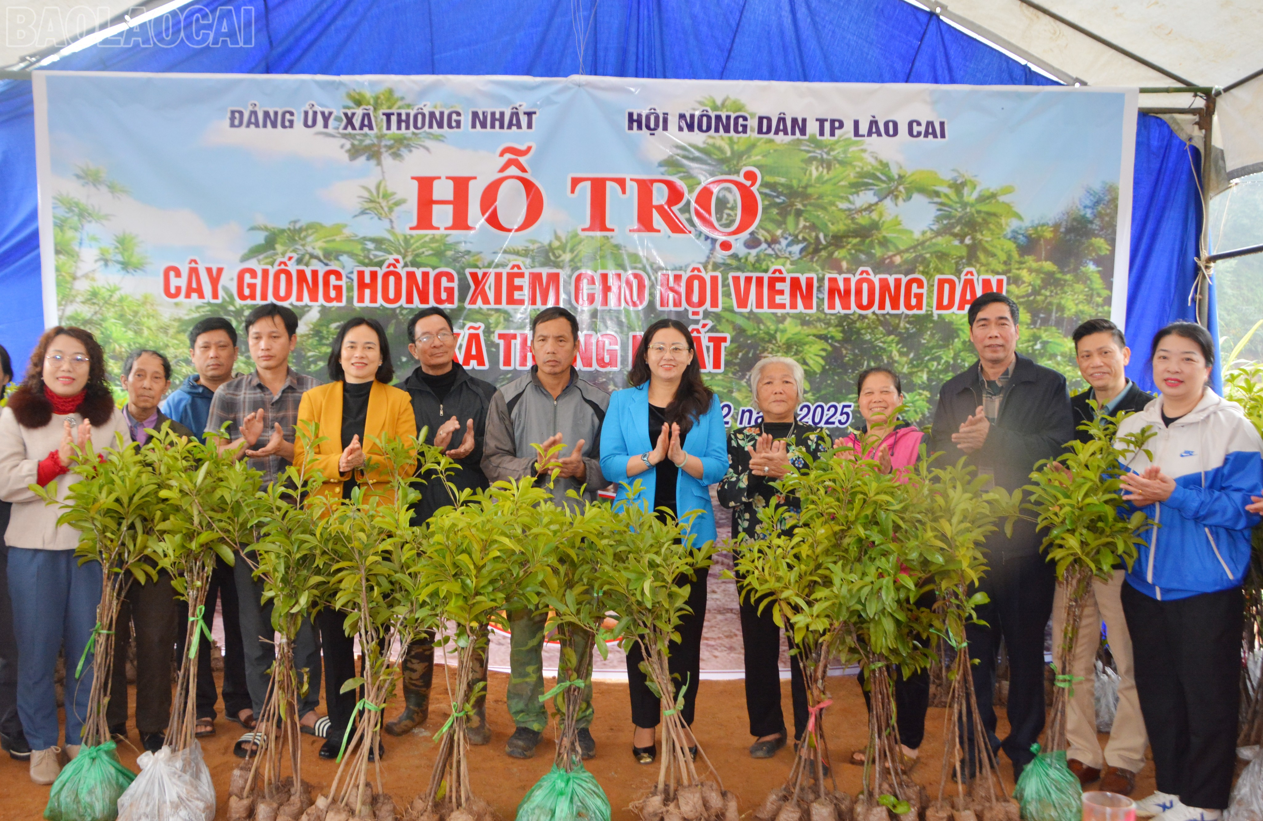 Lãnh đạo thành phố Lào Cai, Hội Nông dân tỉnh, thành phố và xã Thống Nhất trao cây giống cho hội viên nông dân. baolaocai-tl_dsc-5349.jpg