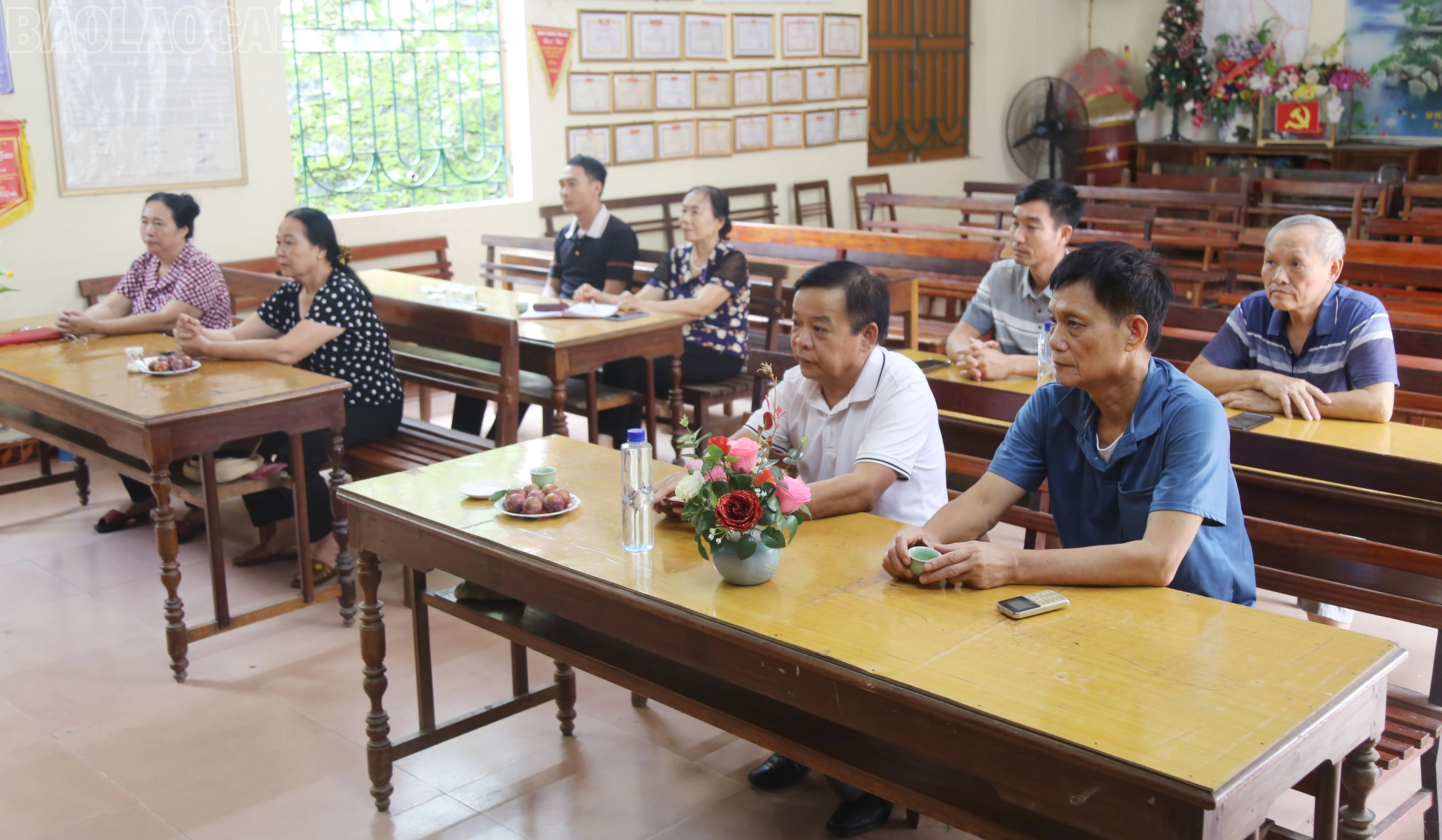baolaocai-tl_img-7543.jpg