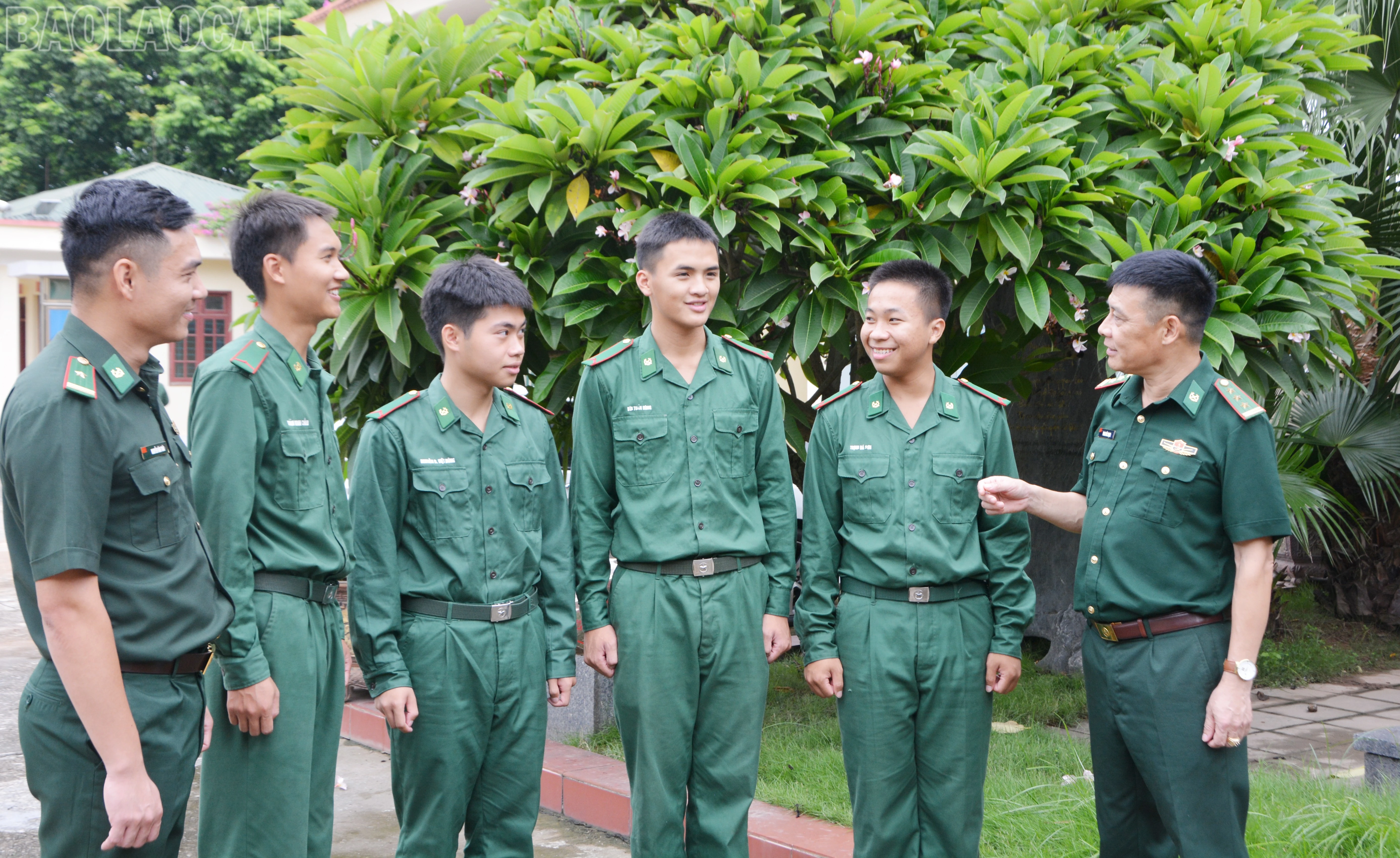 baolaocai-tl_dsc-3877.jpg