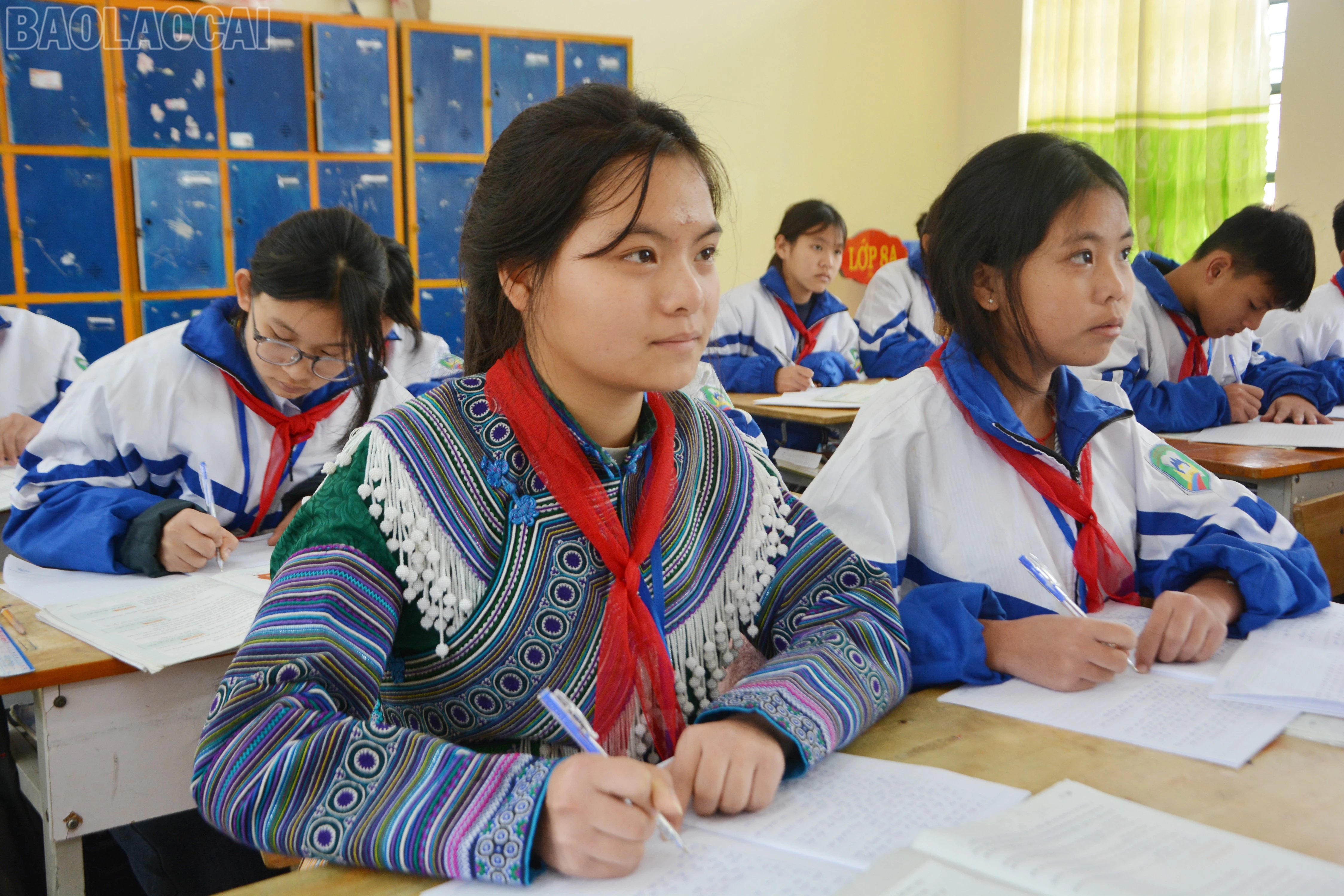 baolaocai-tl_dsc-0333.jpg