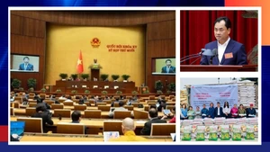 Điểm tin thời sự trong ngày 11/12