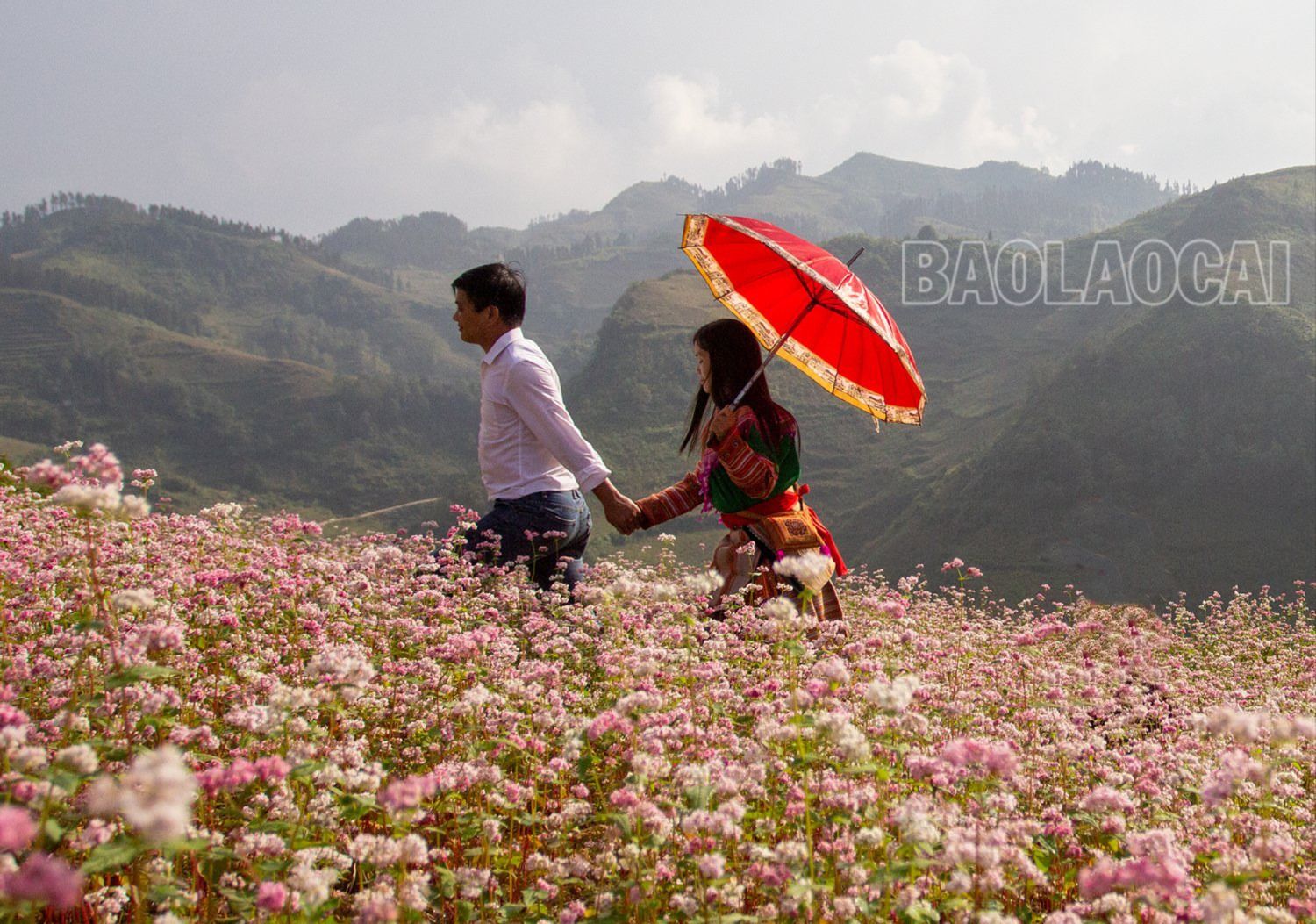 Sắc màu hạnh phúc. 111.jpg