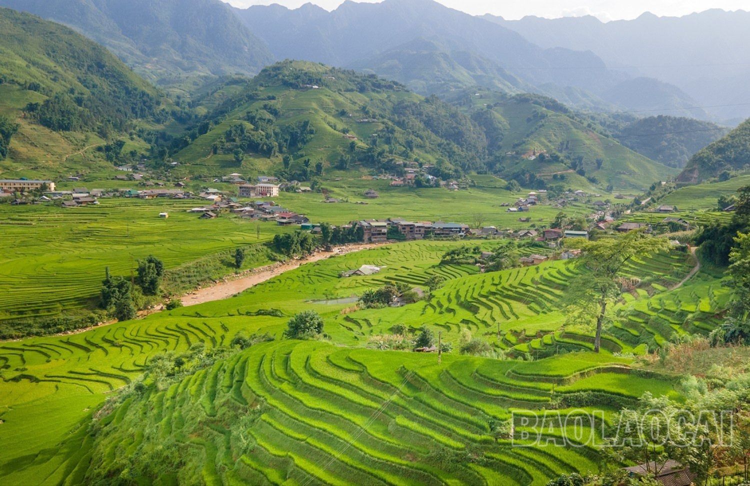 Những "nấc thang" màu xanh quyến rũ. z4525708253553_67d910c67d6b463dcac040b24409b491.jpg