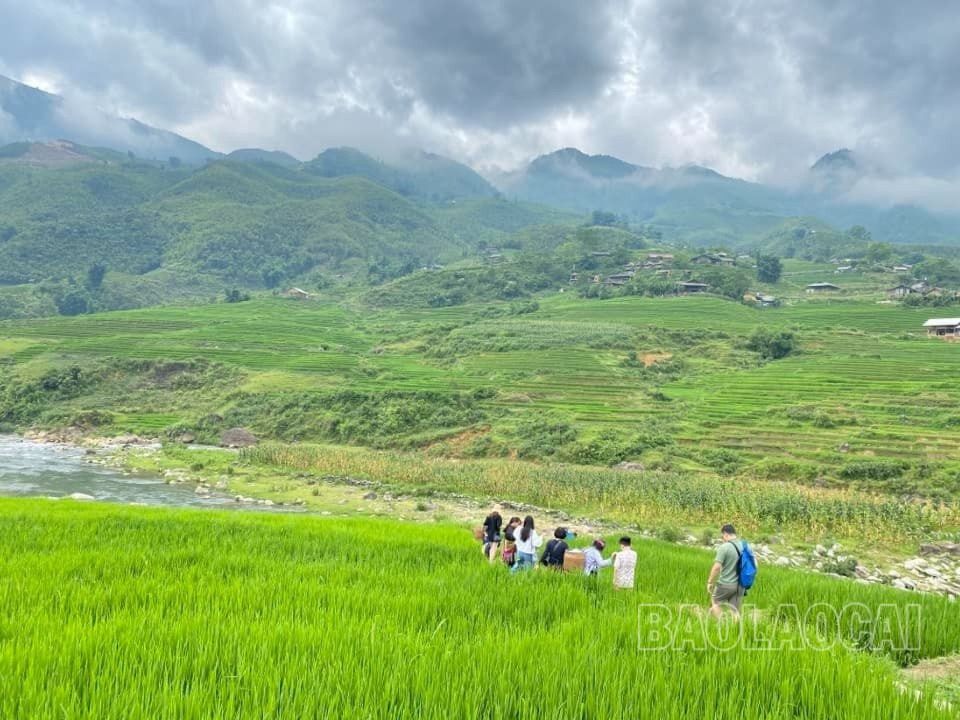 Thung lũng Mường Hoa trở thành điểm đến cho du khách trong và ngoài nước ngắm ruộng bậc thang. (Ảnh: Vũ Ngọc Hường) z4525708224825_68e007671f551ca8fc336230e6c01d15.jpg