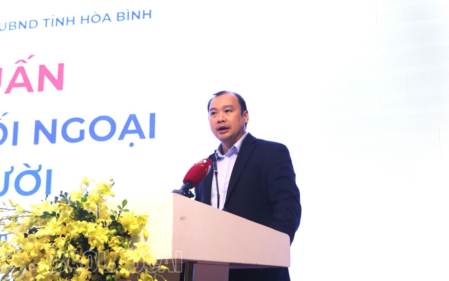 Đồng chí Lê Hải Bình, Phó Trưởng Ban Tuyên giáo Trung ương, Phó Trưởng Ban Thường trực Ban Chỉ đạo công tác thông tin đối ngoại Trung ương triển khai các chuyên đề tại hội nghị. 22.jpg