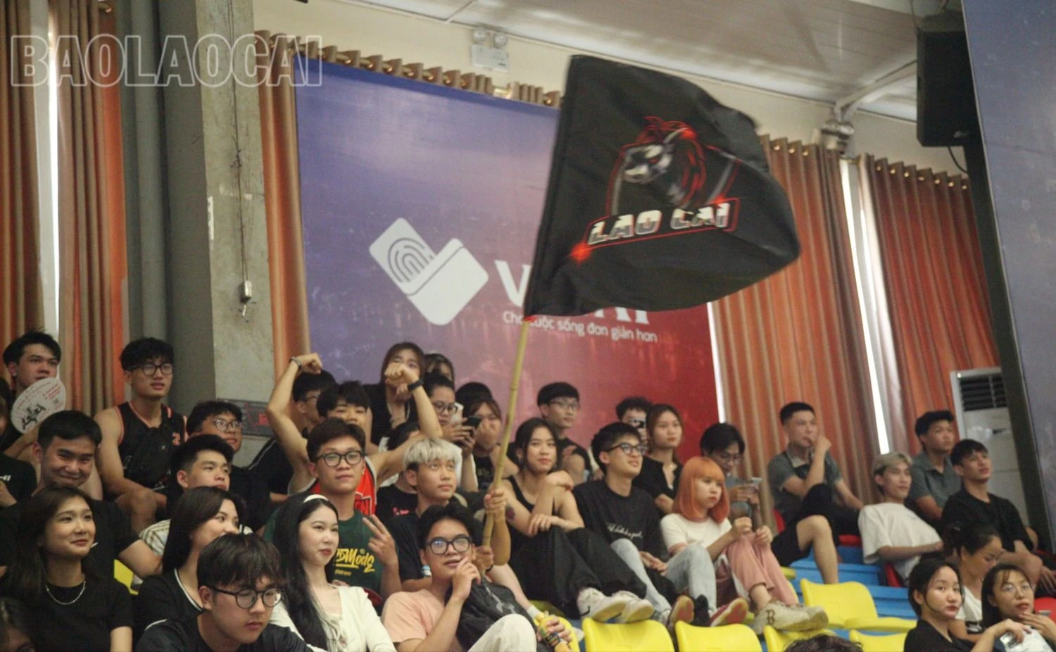 3b.jpg