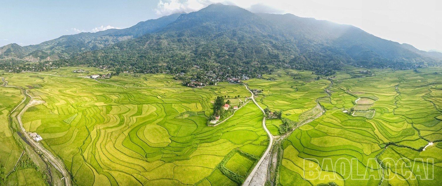 Màu của "vân đất". 5b.jpg
