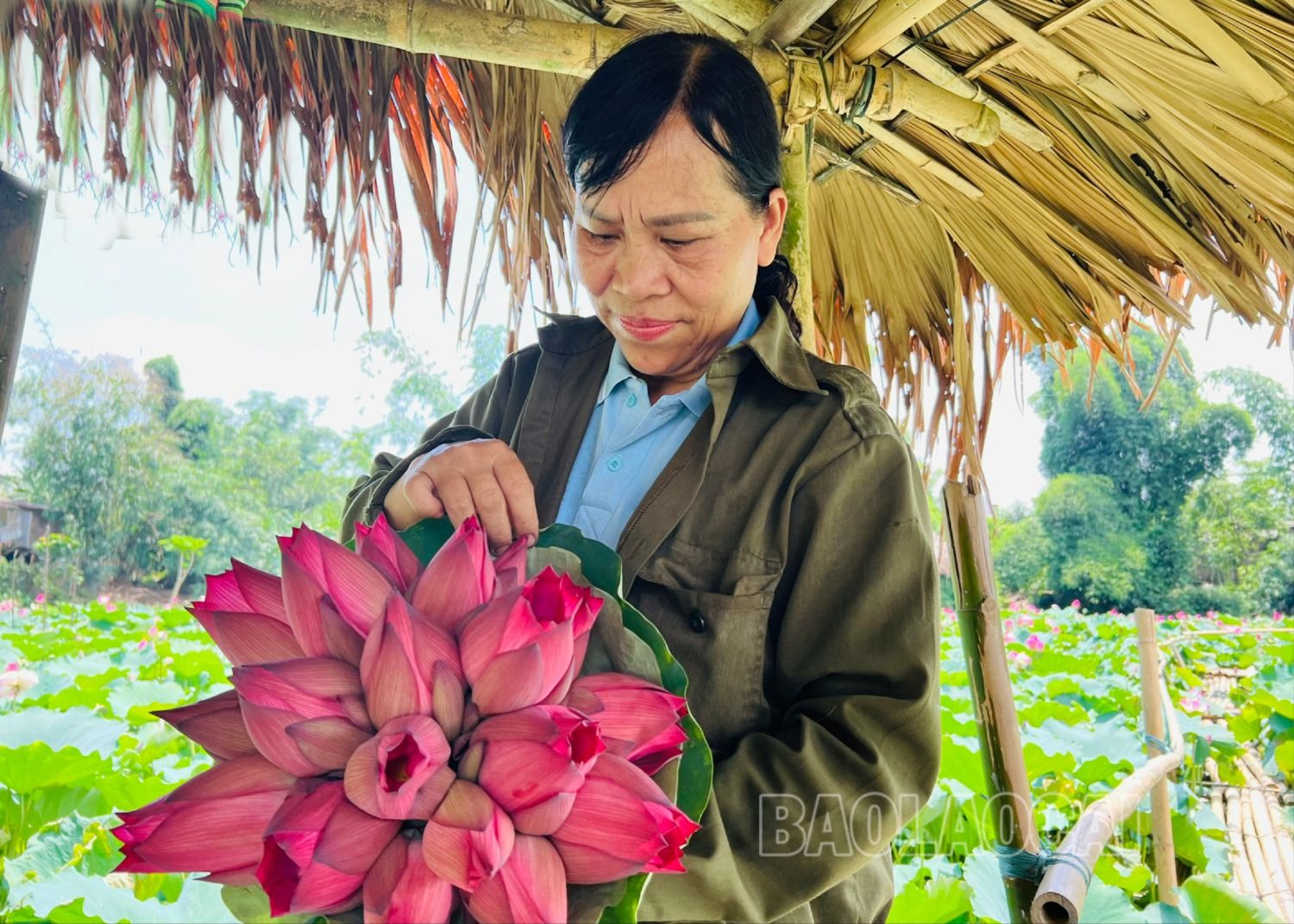 Cùng với kinh doanh mô hình sinh thái tham quan, chụp ảnh, các chủ đầm còn bán các sản phẩm phụ từ sen, giúp nâng cao thu nhập. 5.jpg