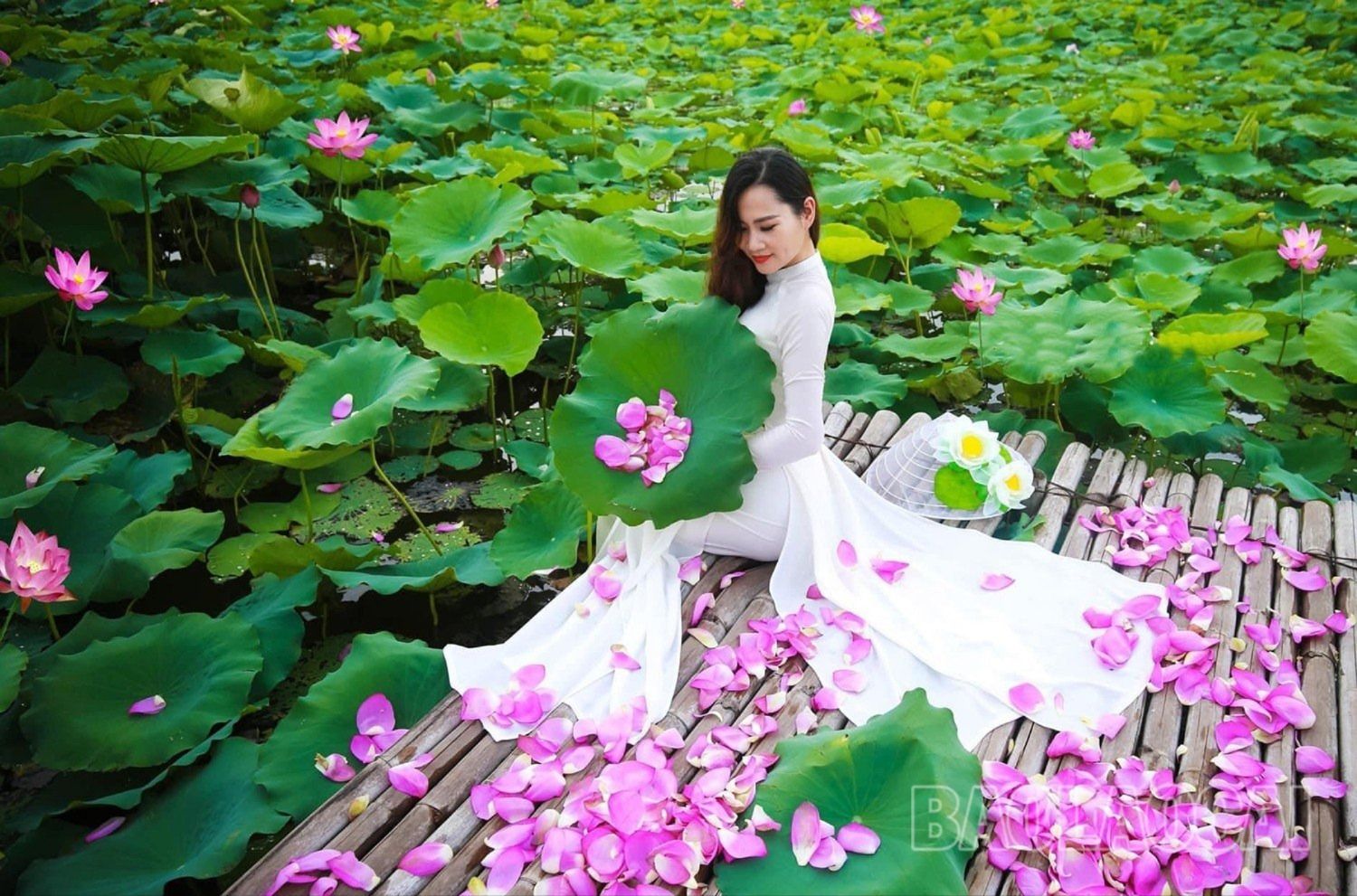 Lưu giữ thanh xuân tươi đẹp qua các bức hình cùng sen trở thành "trào lưu" của những người yêu sen mỗi dịp hoa nở. z4477197310081_c5f43616ddbb39f8ba94b1f37fa44c4a.jpg