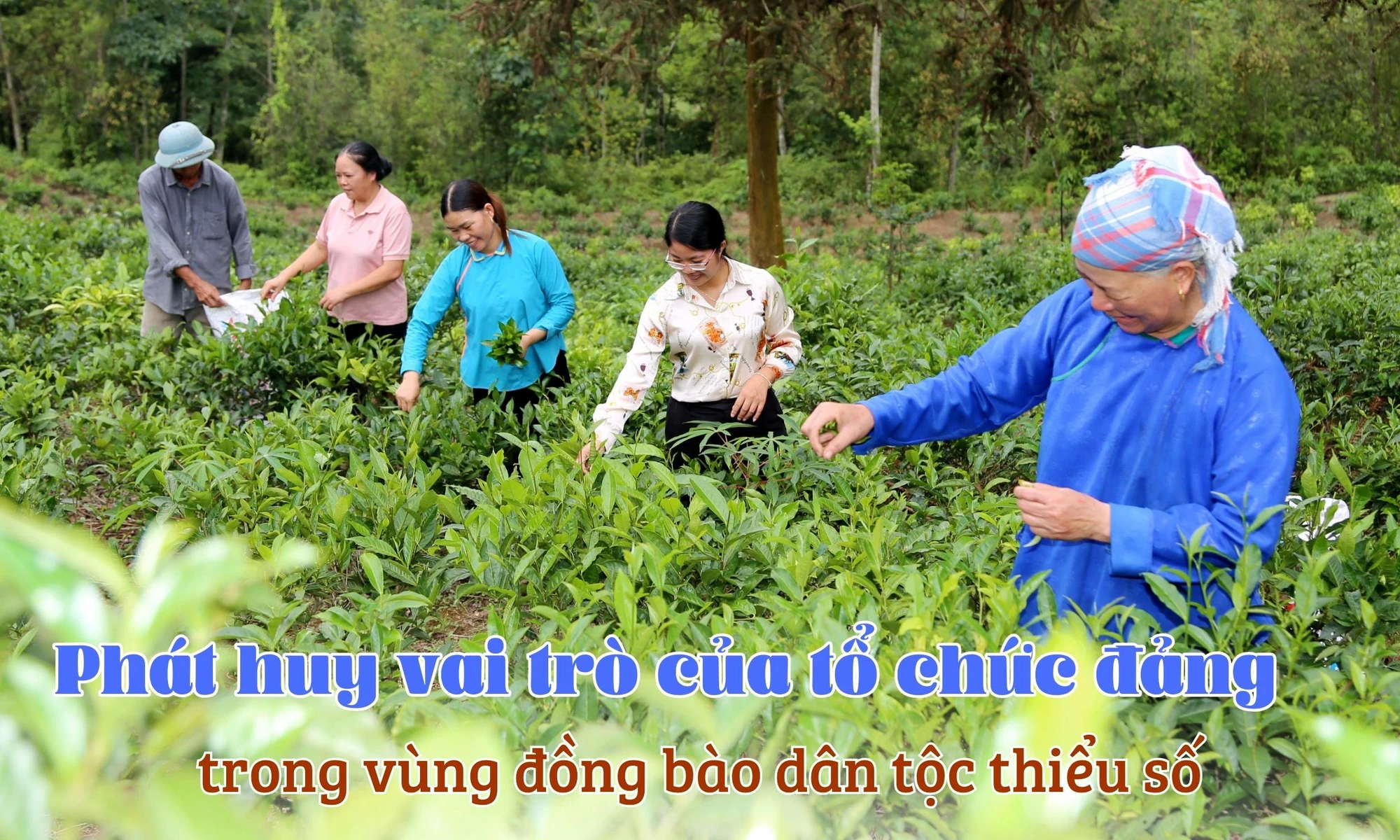 Phát huy vai trò của tổ chức đảng trong vùng đồng bào dân tộc thiểu số