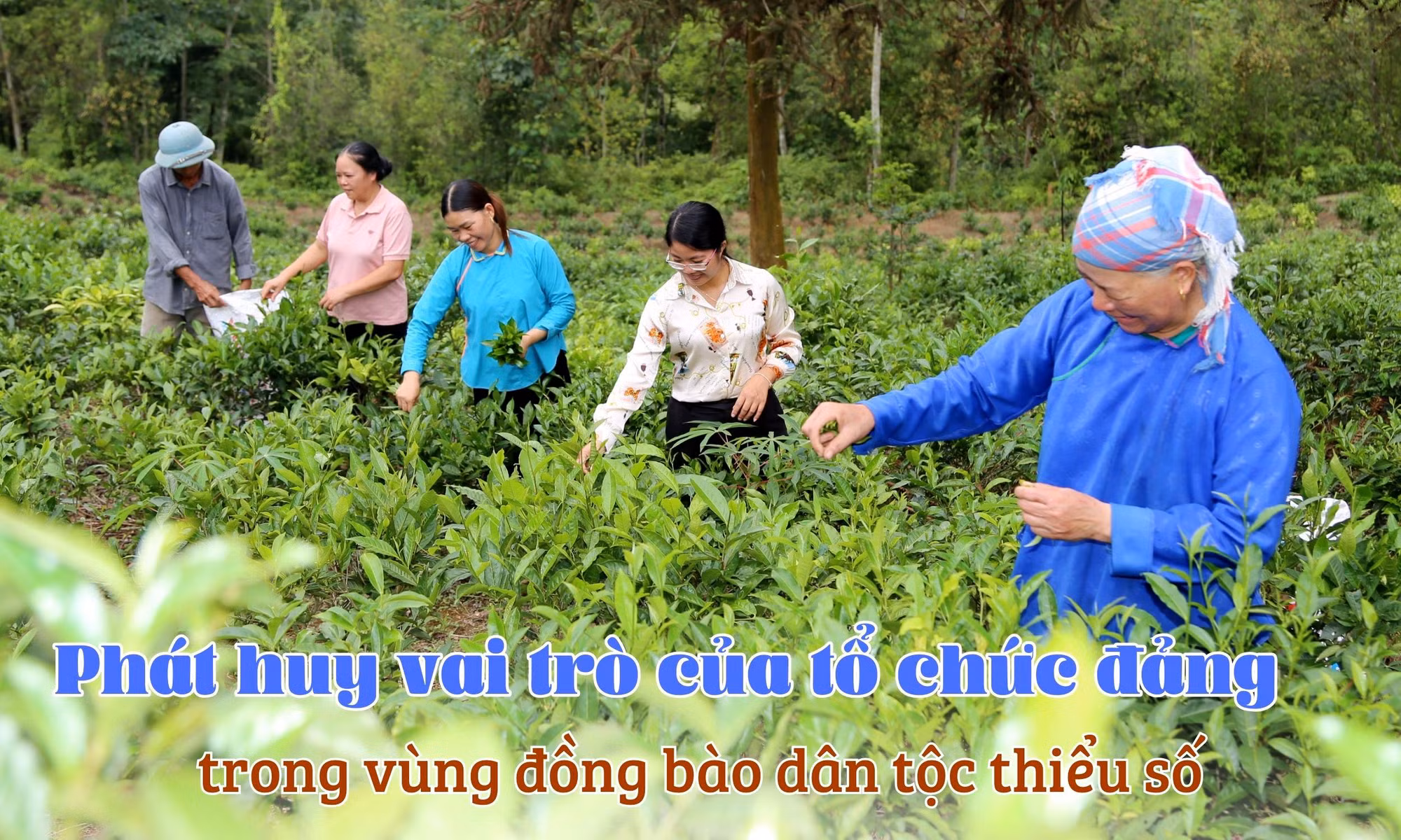 Phát huy vai trò của tổ chức đảng trong vùng đồng bào dân tộc thiểu số