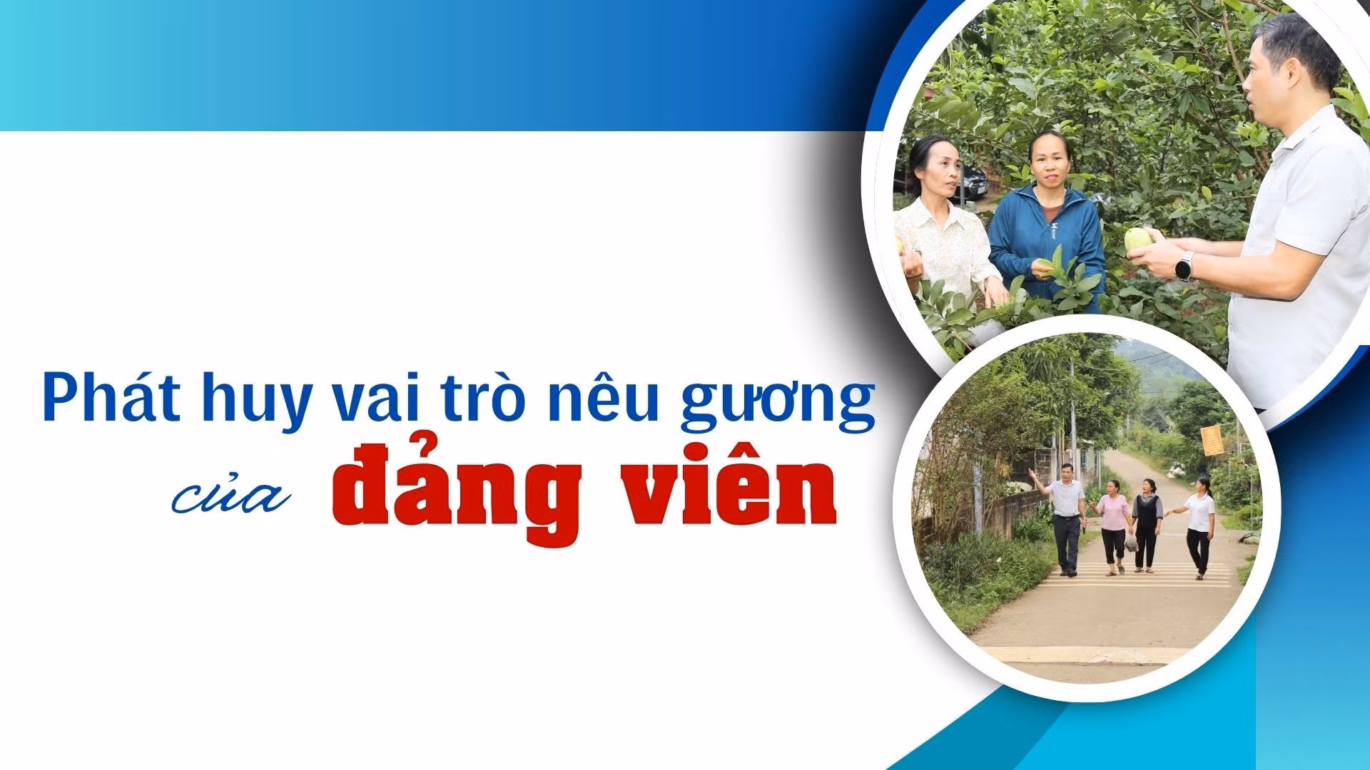 Phát huy vai trò nêu gương của đảng viên