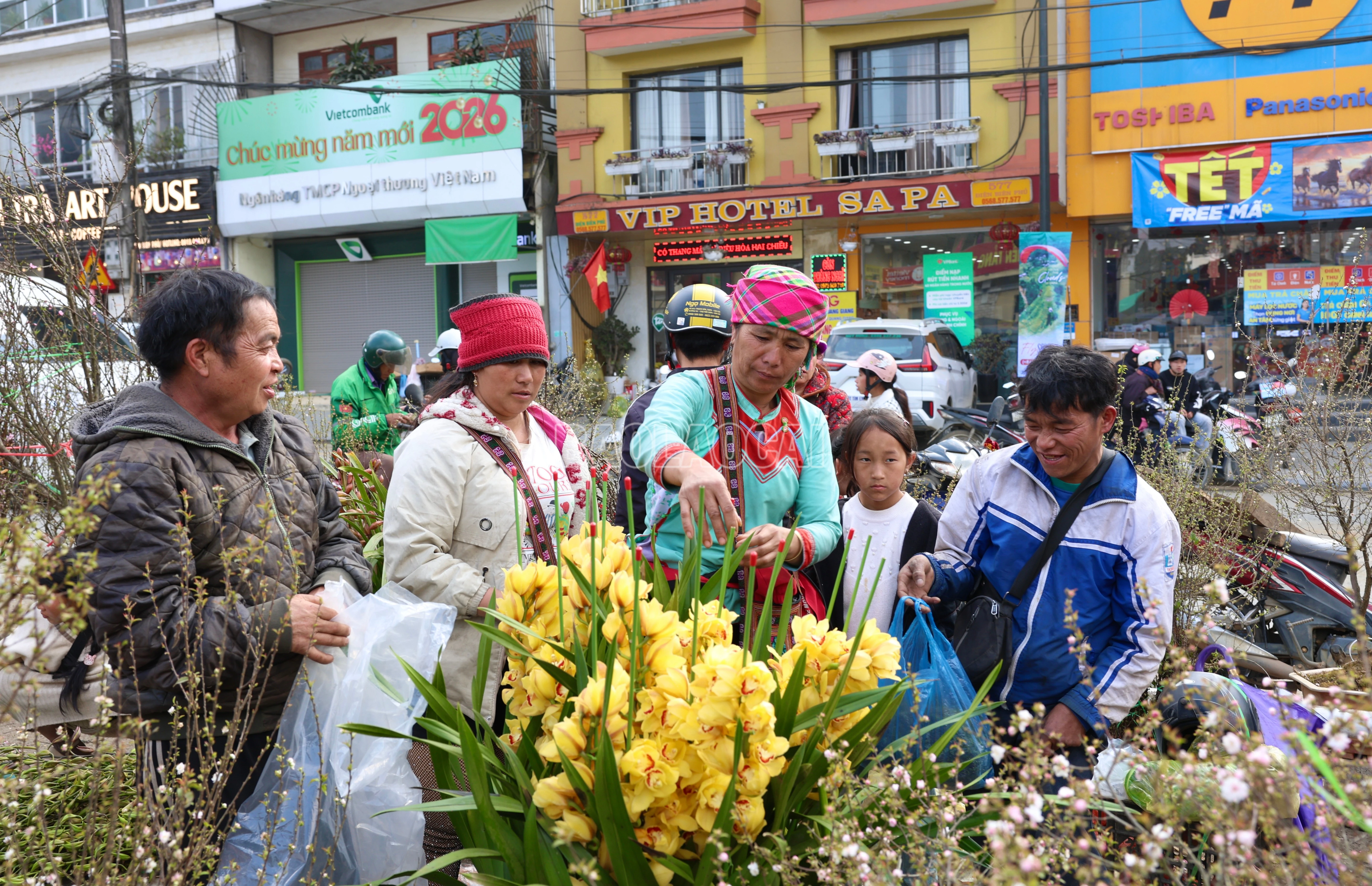 baolaocai-c_900a2617.jpg