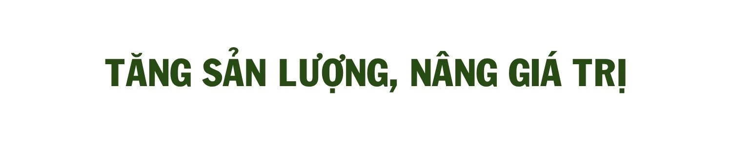472.jpg