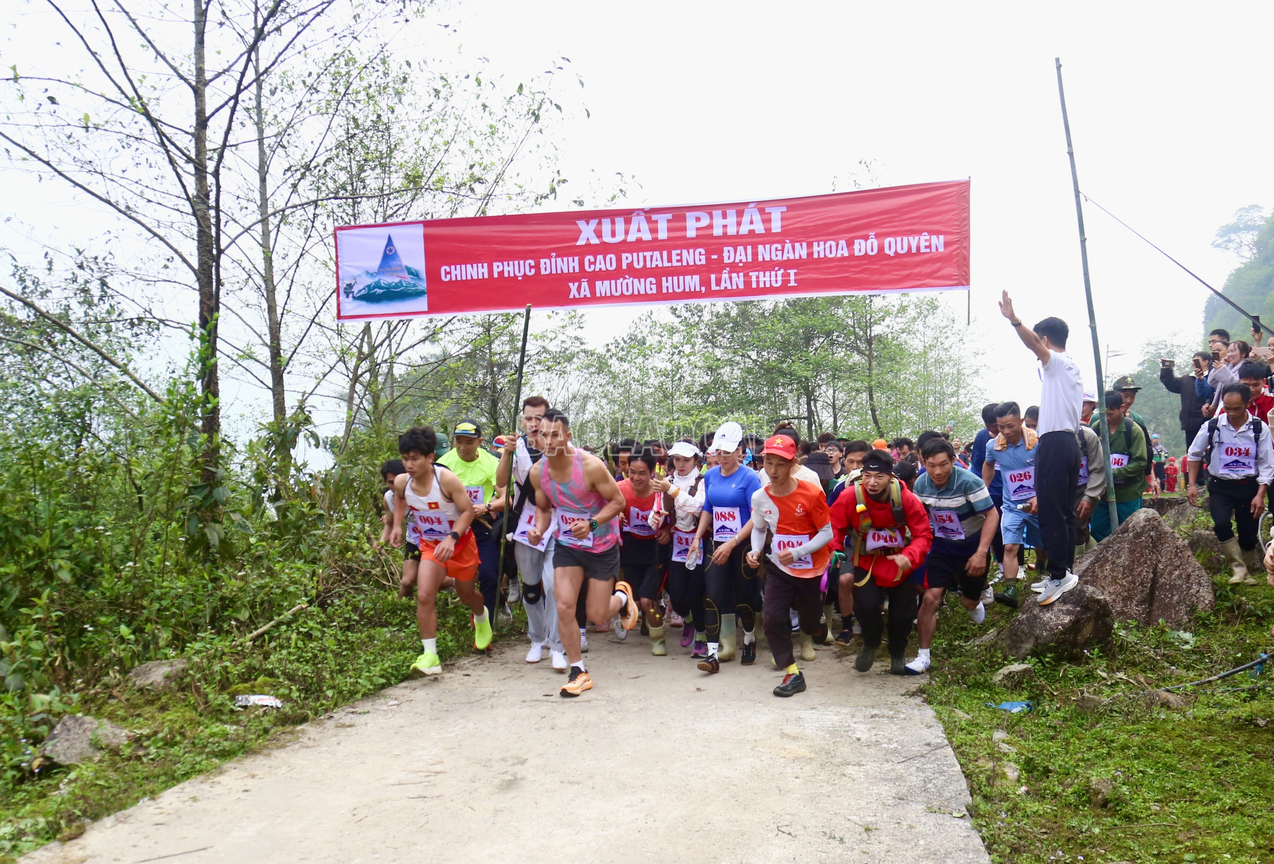 baolaocai-c_img-2329.jpg
