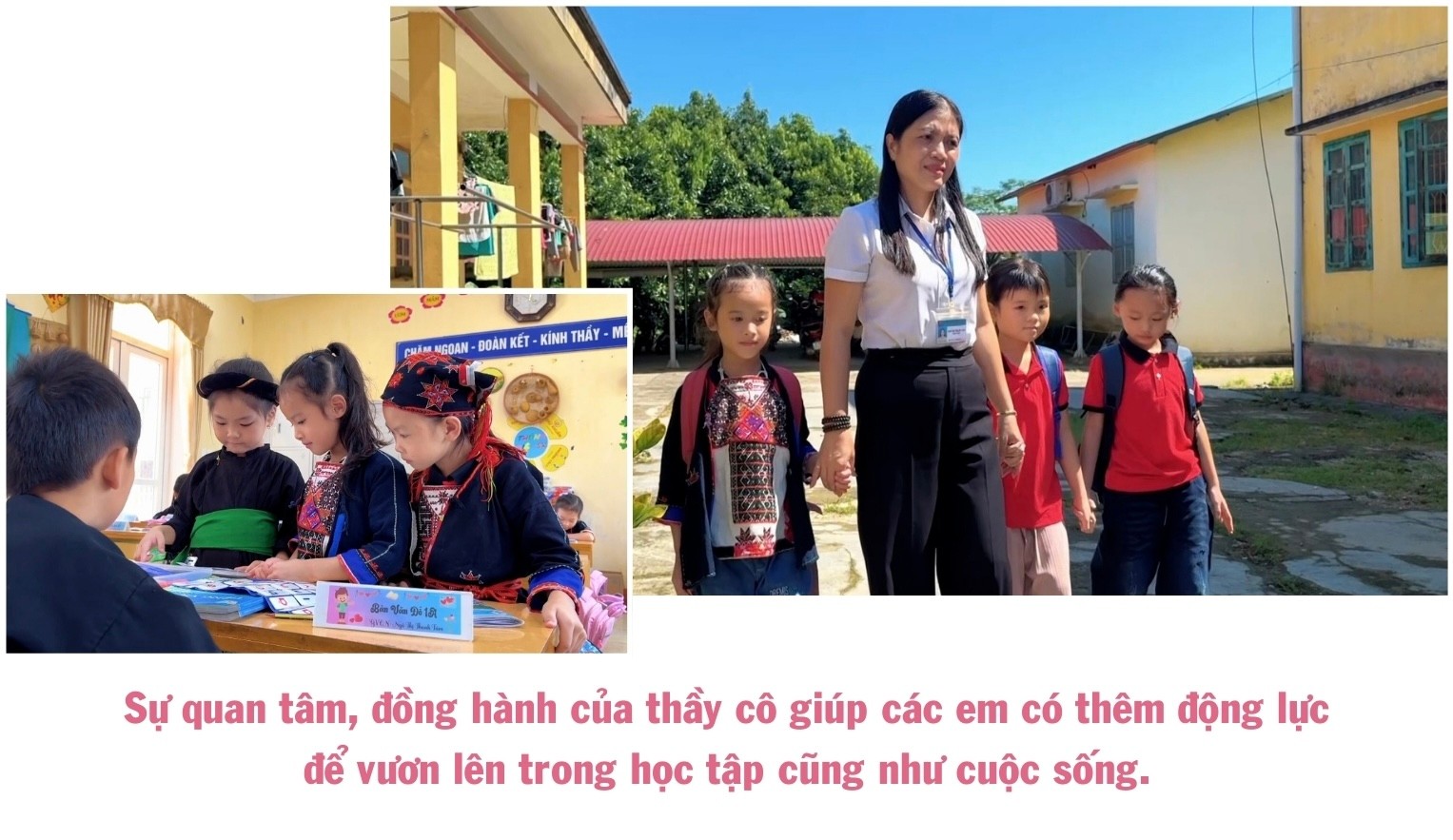 ngo-thu-nhap-bap-benh-trong-khi-chuoi-bi-benh-khien-gia-dinh-anh-ho-gap-kho-498.jpg