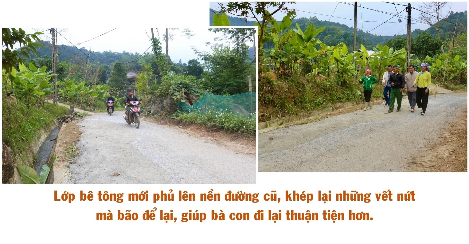 ngo-thu-nhap-bap-benh-trong-khi-chuoi-bi-benh-khien-gia-dinh-anh-ho-gap-kho-444.jpg