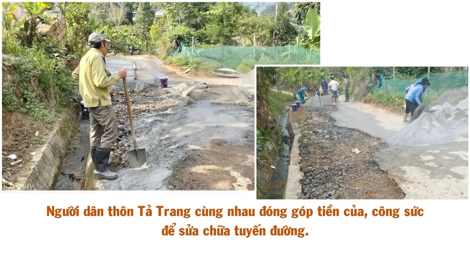 ngo-thu-nhap-bap-benh-trong-khi-chuoi-bi-benh-khien-gia-dinh-anh-ho-gap-kho-442.jpg