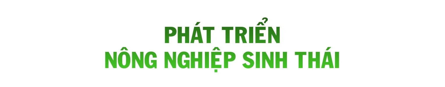 ngo-thu-nhap-bap-benh-trong-khi-chuoi-bi-benh-khien-gia-dinh-anh-ho-gap-kho-430.jpg