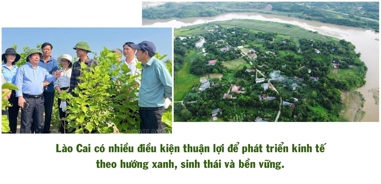 ngo-thu-nhap-bap-benh-trong-khi-chuoi-bi-benh-khien-gia-dinh-anh-ho-gap-kho-431.jpg