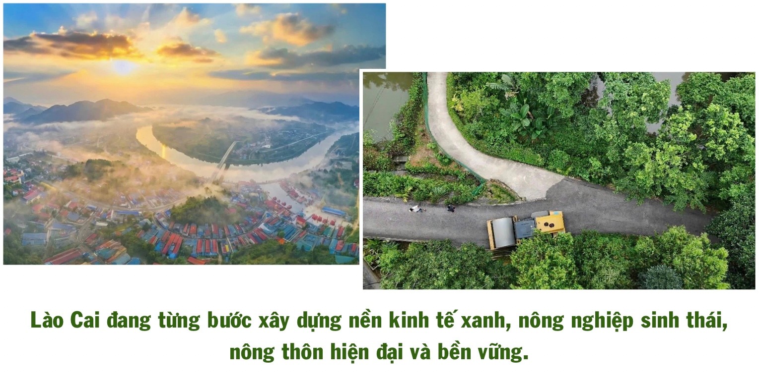 ngo-thu-nhap-bap-benh-trong-khi-chuoi-bi-benh-khien-gia-dinh-anh-ho-gap-kho-436.jpg