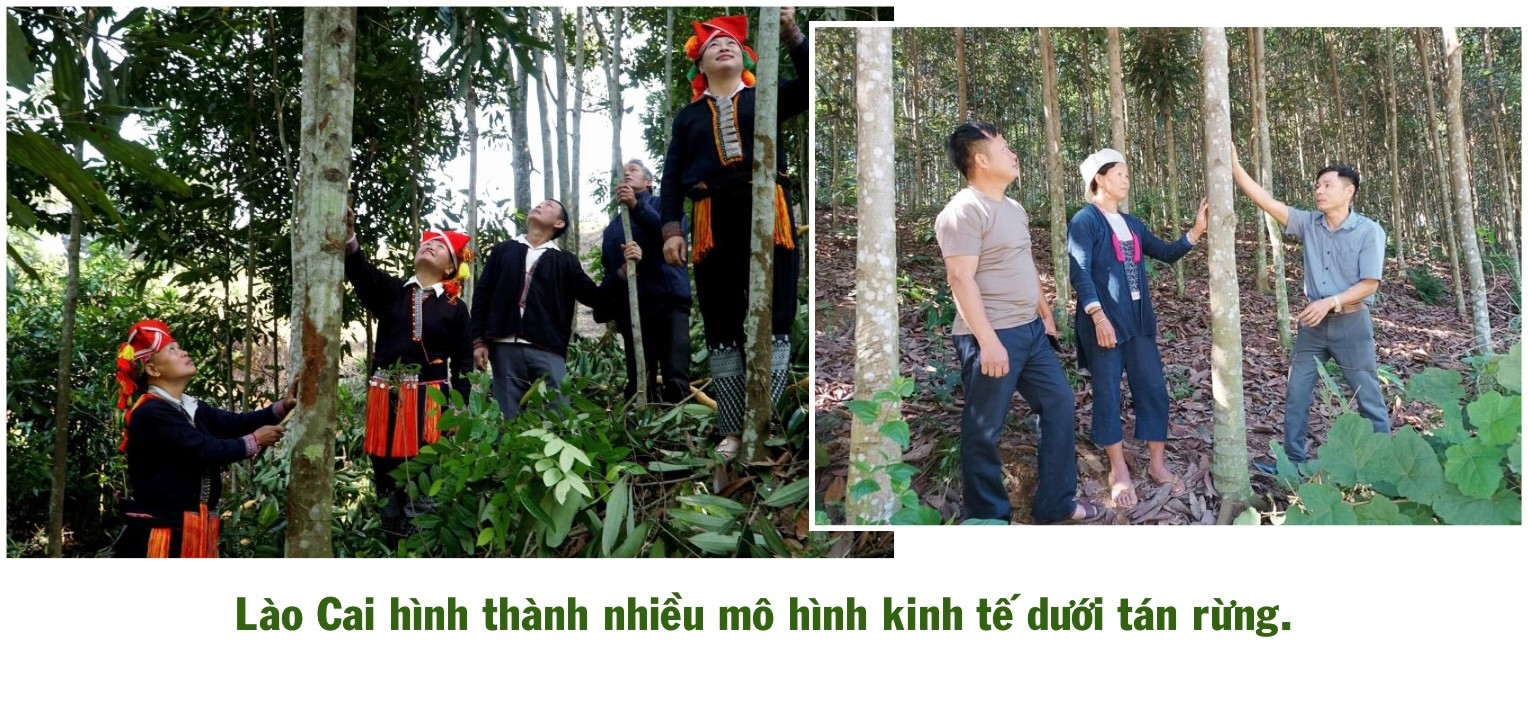 ngo-thu-nhap-bap-benh-trong-khi-chuoi-bi-benh-khien-gia-dinh-anh-ho-gap-kho-433.jpg