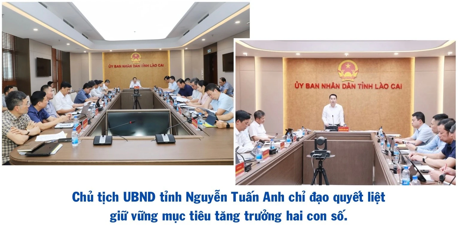 ngo-thu-nhap-bap-benh-trong-khi-chuoi-bi-benh-khien-gia-dinh-anh-ho-gap-kho.jpg