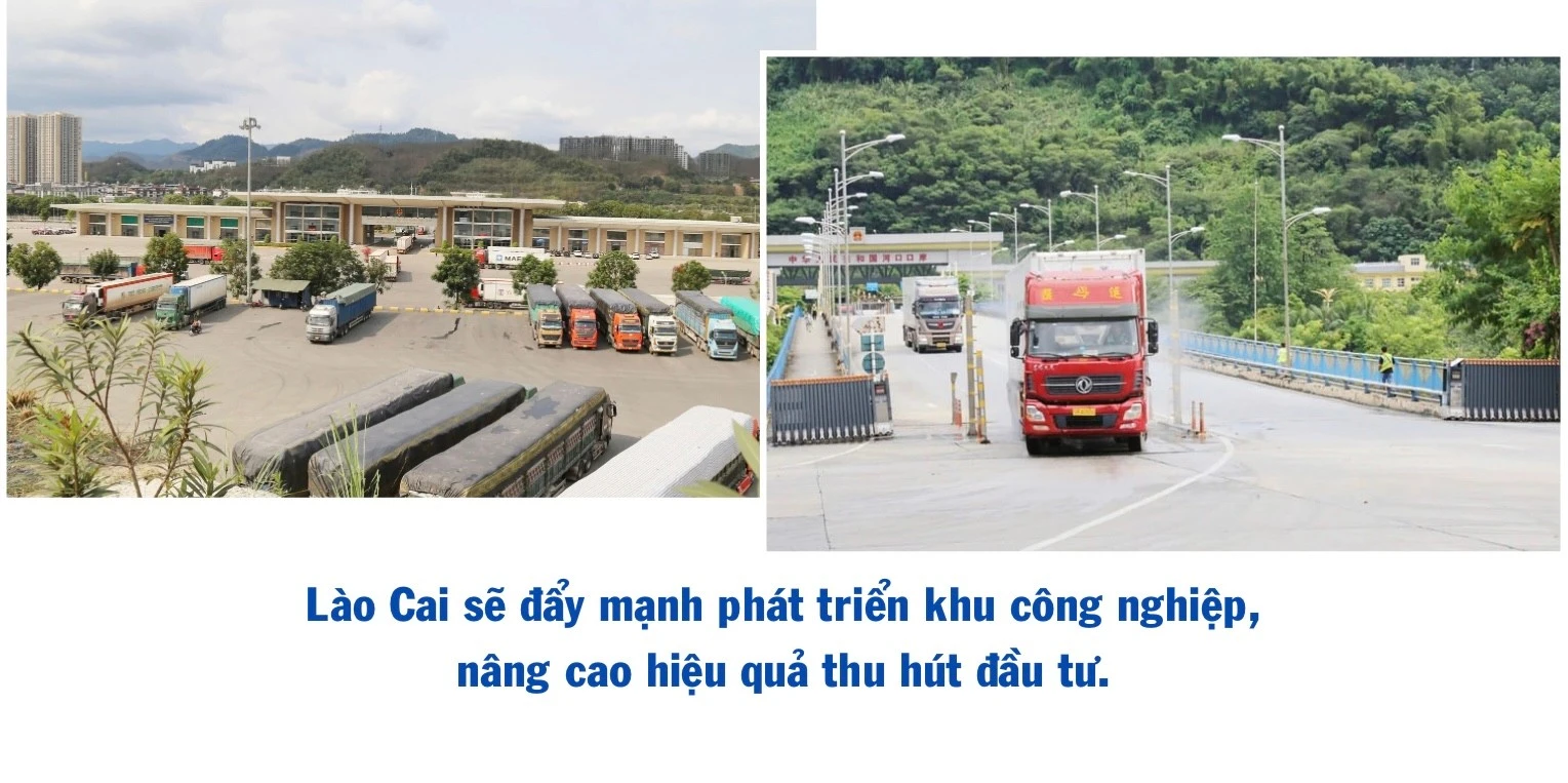 ngo-thu-nhap-bap-benh-trong-khi-chuoi-bi-benh-khien-gia-dinh-anh-ho-gap-kho-493.jpg