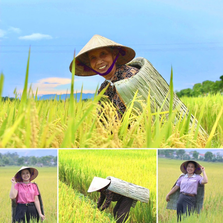 Trên cánh đồng mùa gặt tại Hà Tĩnh, vẫn thấp thoáng hình ảnh áo tơi Yên Lạc giữa thời hiện đại. ao-toi.jpg