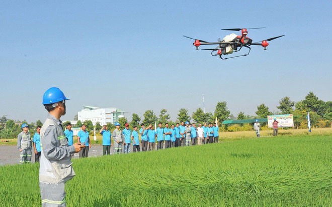 Nông dân tham quan trình diễn mô hình drone (máy bay không người lái) bón phân, phun thuốc trừ sâu cho cây lúa trên cánh đồng ở huyện Thoại Sơn. ttxvn-nong-nghiep-cong-nghe-cao-1.jpg