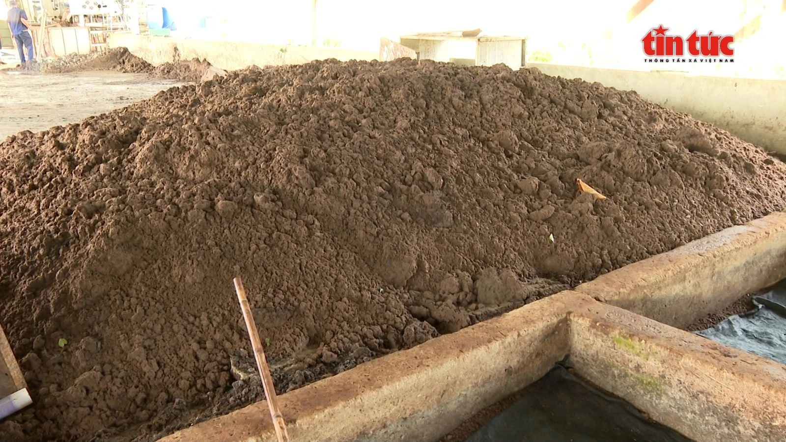 Phân bón hữu cơ sau khi thu được từ mô hình nuôi trùn quế.