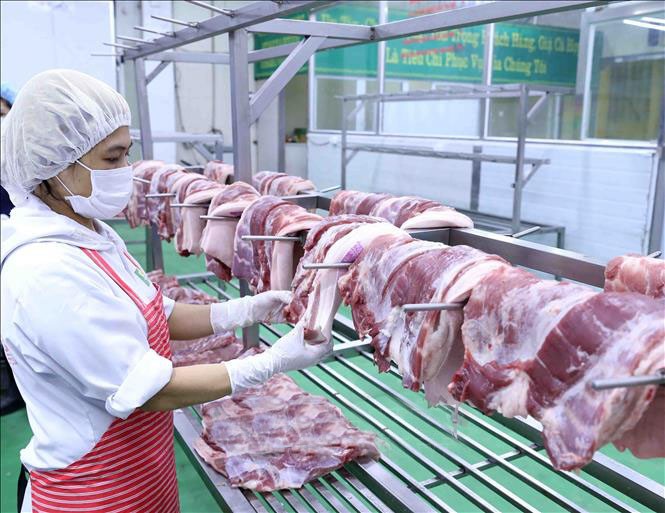 Chế biến sản phẩm thịt lợn tại Công ty Cổ phần Công nghệ thực phẩm Vinh Anh, huyện Thường Tín (Hà Nội). 3-4820.jpg