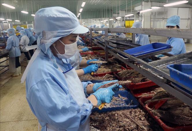 Sản xuất chế biến cá hộp xuất khẩu tại nhà máy thực phẩm đóng hộp KTC, Công ty cổ phần thương mại Kiên Giang. wb.jpg