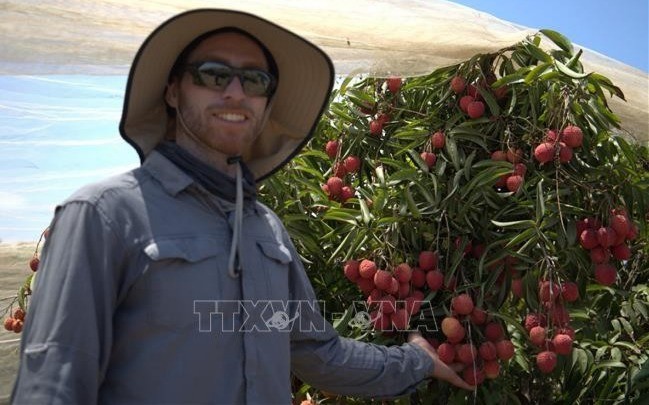 Anh Uri Shpatz, trưởng nhóm nông học của Bananot Hahof - hợp tác xã đang triển khai trồng giống vải thiều Hong Long (Hồng Long) hay còn gọi là giống vải U Hồng của Việt Nam từ năm 2016. 12-7-vai-israel-2-7138.jpg