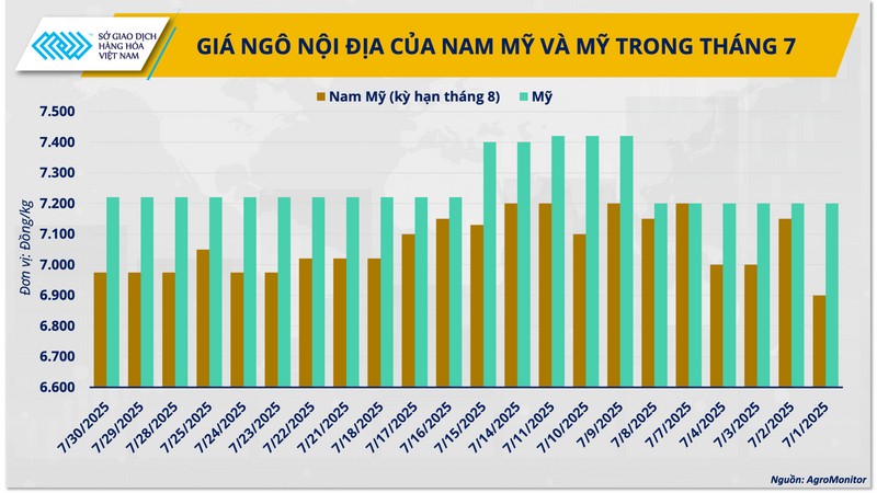 Giá ngô nội địa của Nam Mỹ và Mỹ trong tháng 7. gia-ngo-2.png