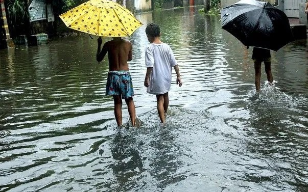 Philippines ghi nhận sự gia tăng đột biến số ca nhiễm bệnh xoắn khuẩn vàng da do virus leptospirosis sau lũ lụt. philipin.jpg