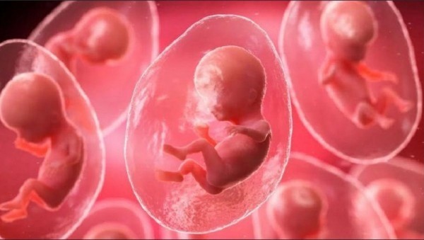 41 ca điều trị thử nghiệm trong nghiên cứu của Conceivable Life Sciences và 18 đứa trẻ đã chào đời. 14-7-em-be-ai-3-5899.jpg