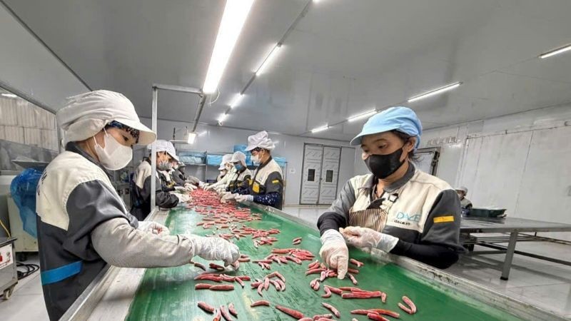 Doanh nghiệp tư nhân đầu tư dây chuyển sản xuất nông sản hiện đại, nâng cao năng suất và gia tăng giá trị sản phẩm phục vụ xuất khẩu. kte-1.jpg