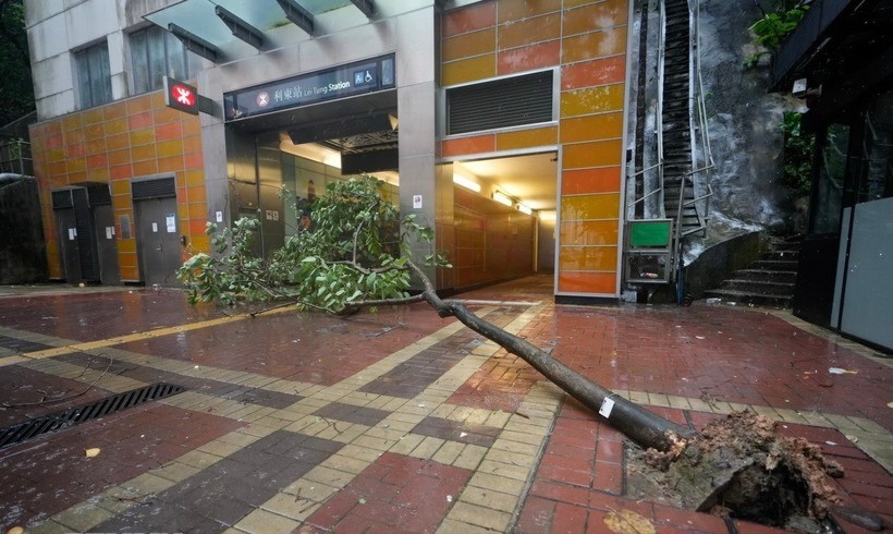Cây đổ trong gió lớn do ảnh hưởng của bão Wipha tại Hong Kong, Trung Quốc. bao-trung-quoc-7114.jpg