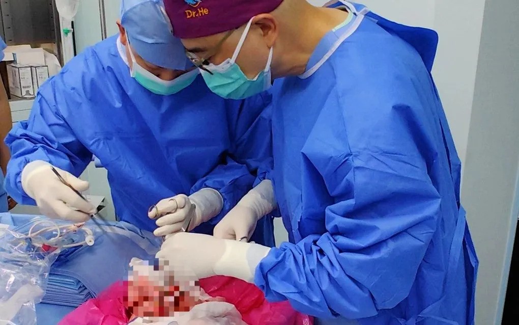 Các bác sĩ tại Trung Quốc vừa thực hiện thành công ca cấy ghép phổi từ lợn biến đổi gen vào một bệnh nhân chết não 39 tuổi. anh-ghep-tang.jpg