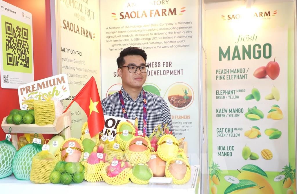 Một gian trưng bày của Việt Nam. trien-lam-4.jpg