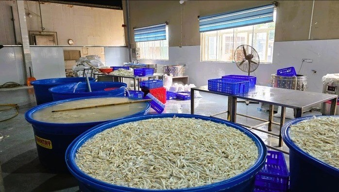 Chân gà nghi không rõ nguồn gốc, trong đó có gần 7 tấn đã ngâm hóa chất tẩy trắng (H202) được Công an tỉnh Thanh Hóa phối hợp, phát hiện. 14-7-chan-ga-tay-2012.jpg