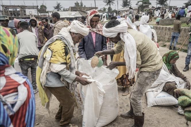 Người dân Ethiopia nhận bột mì cứu trợ từ Chương trình Lương thực Thế giới (WFP) tại trại tạm ở Debark, cách thành phố Gondar khoảng 90km, ngày 15/9/2021. luong-thuc-toan-cau-1917.jpg