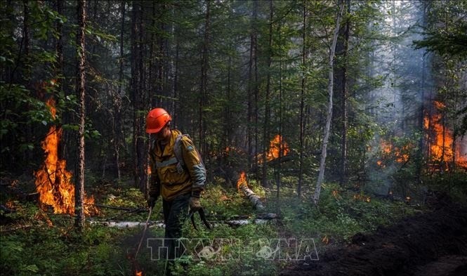 Nhân viên bảo vệ rừng nỗ lực khống chế các đám cháy rừng ở Yakutia, Siberia, Nga. Ảnh tư liệu. 14-7-chay-rung-nga-5503.jpg