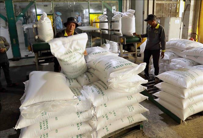 Exportierte Reisprodukte der Vinh Phat Rice Company Limited (An Giang). gao.jpg
