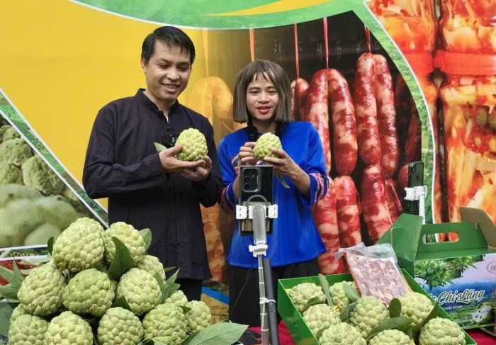 Chủ tịch Ủy ban Nhân dân xã Chi Lăng Vi Thiện Việt và Tiktoker Cô Hến đã livestream trực tiếp kết hợp trực tuyến giới thiệu, quảng bá, bán na. na-4186.jpg