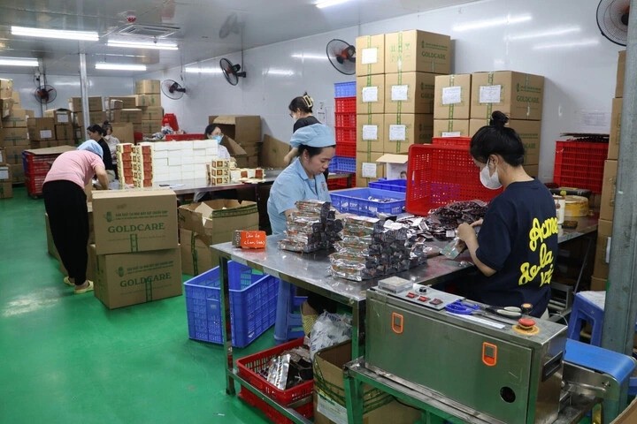 Khu vực đóng gói sản phẩm của Công ty Gold Care. quang-ning.jpg
