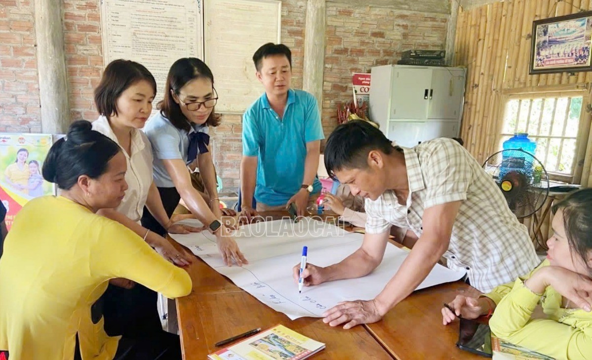 Hướng dẫn quy trình kỹ thuật sản xuất quế hữu cơ. que-2-6845.jpg